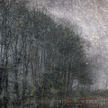 Icy Fog