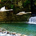 Upper Margaret Falls